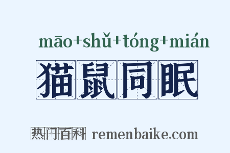 猫鼠同眠是什么意思的图片